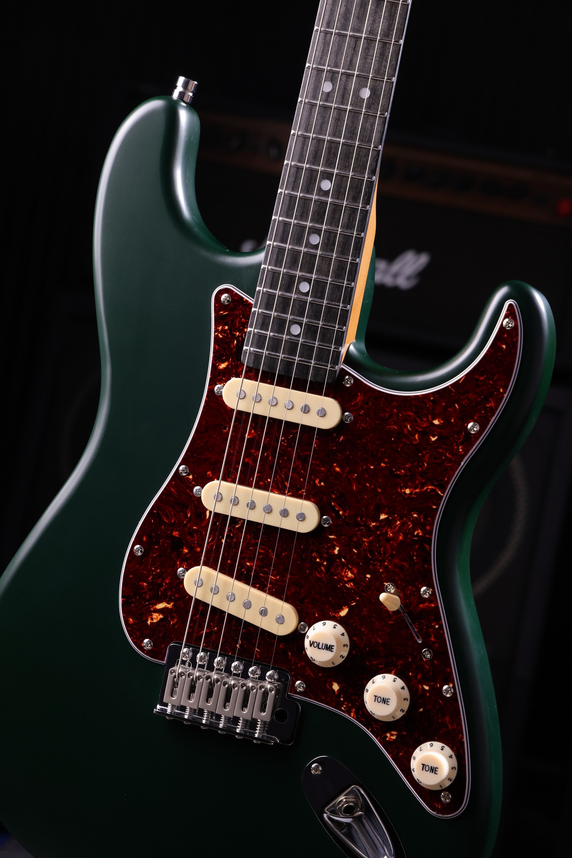 PS-3 SGR Sherwood Green E-Gitarre