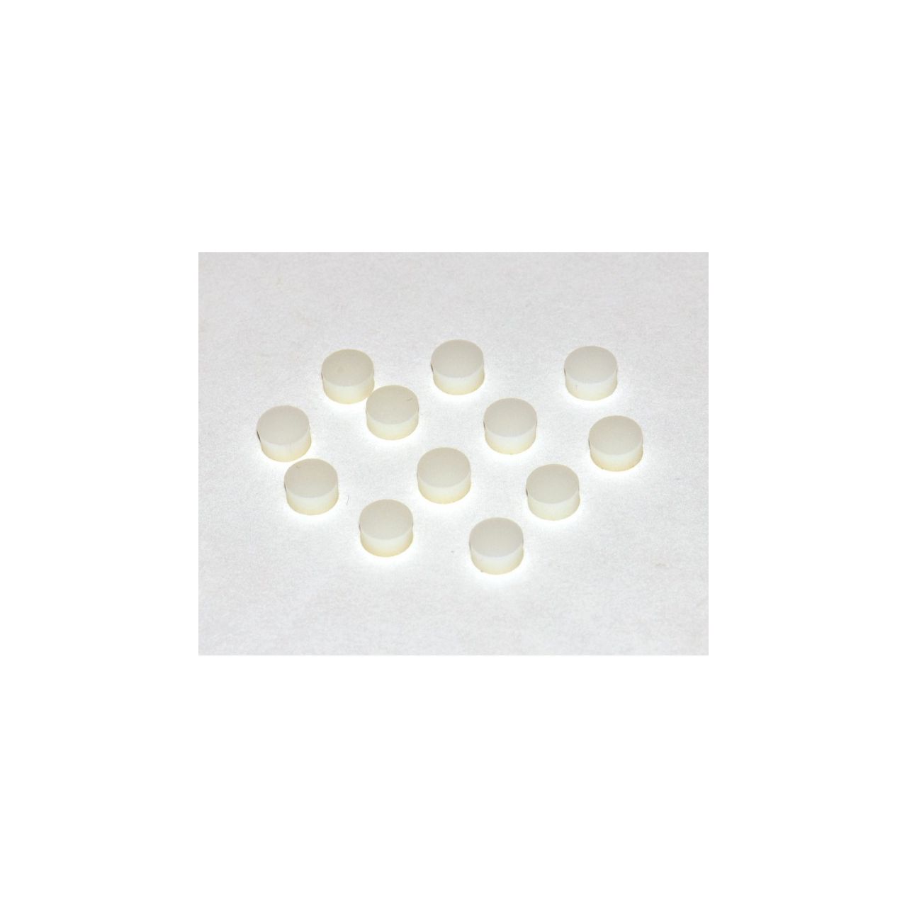 WS10P Fingerboard Dots Inlays 12er Pack perloid