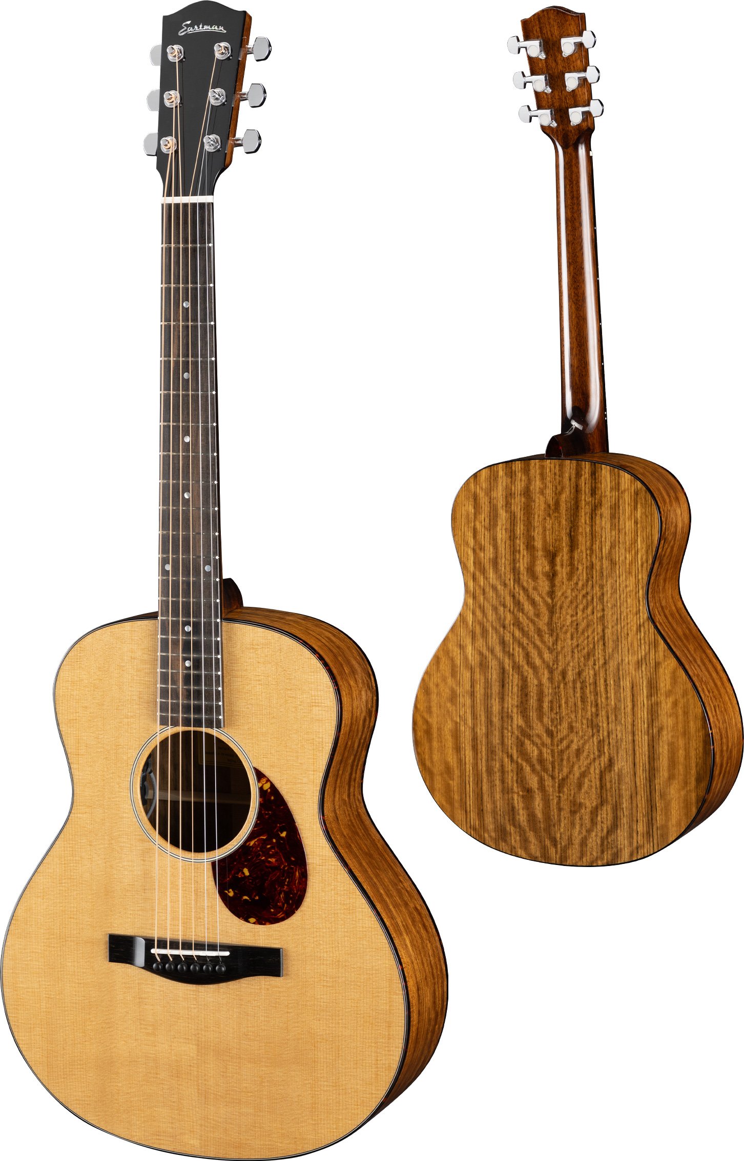 ACTG2E-DLX