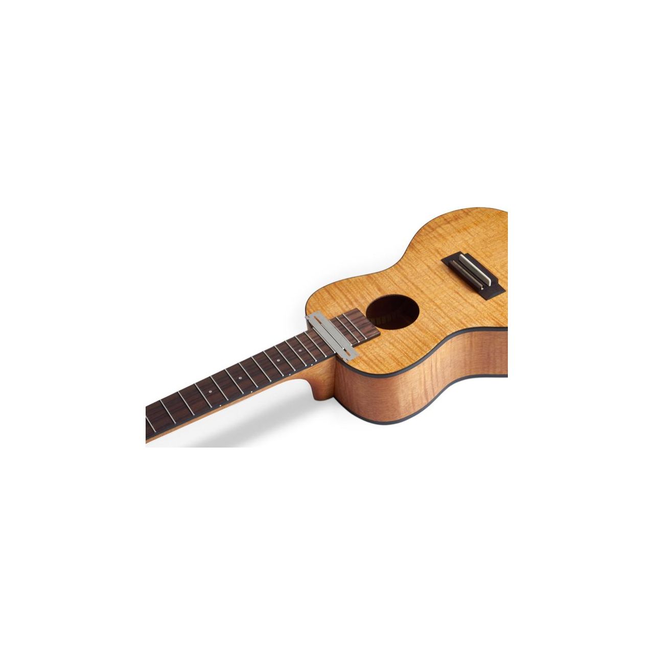 Fingerboard Saver Set + Sanding Block