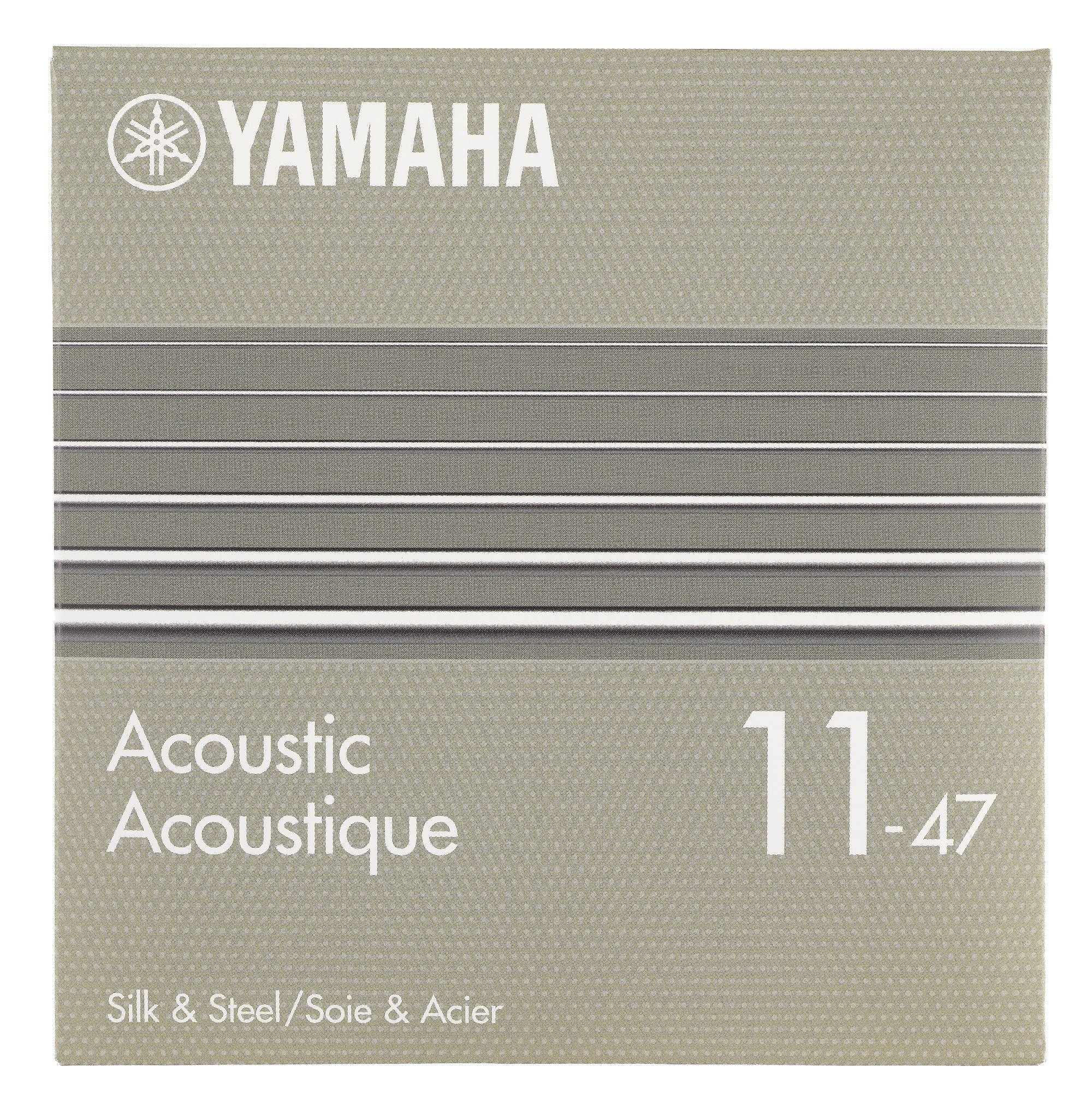 GSA11C Acoustic Strings 11-47