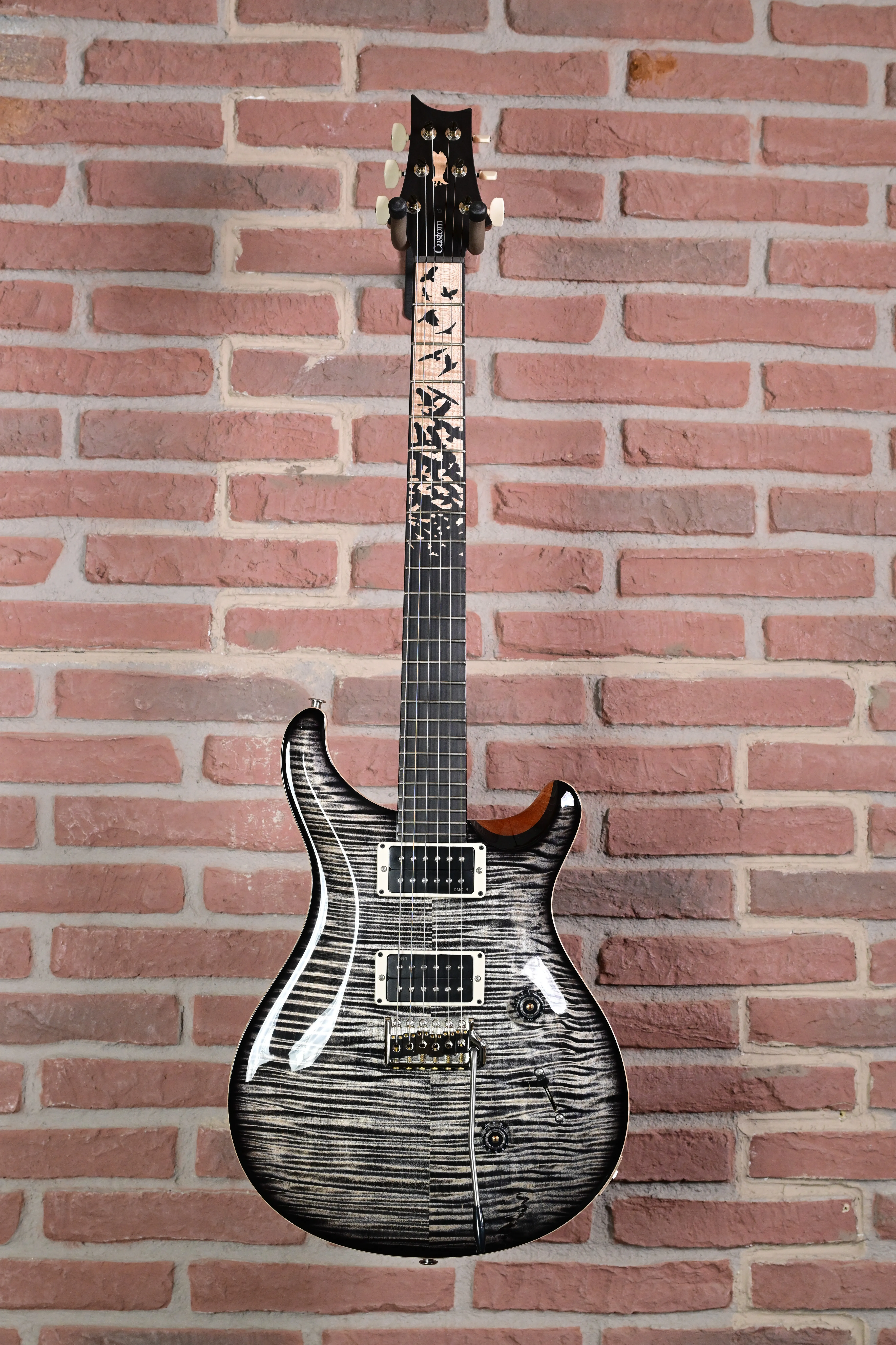 Custom 24 Birds of a Feather Limited Charcoal Microburst E-Gitarre
