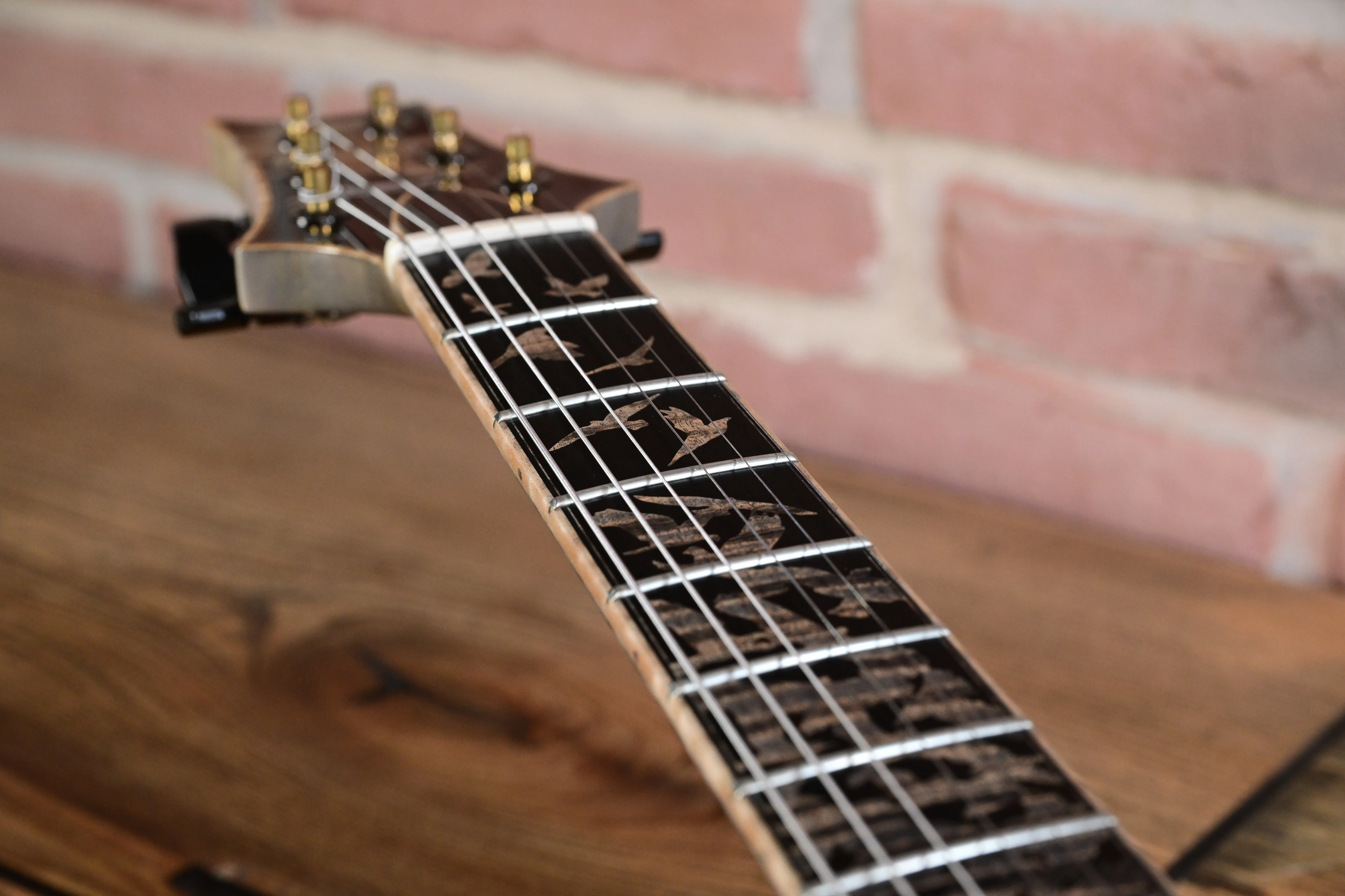 Private Stock 30th Anniversary Birds of a Feather Hollowbody Frostbite Glow
