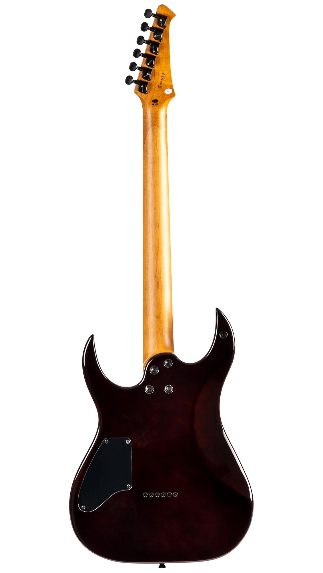 S-450 TGR E-Gitarre