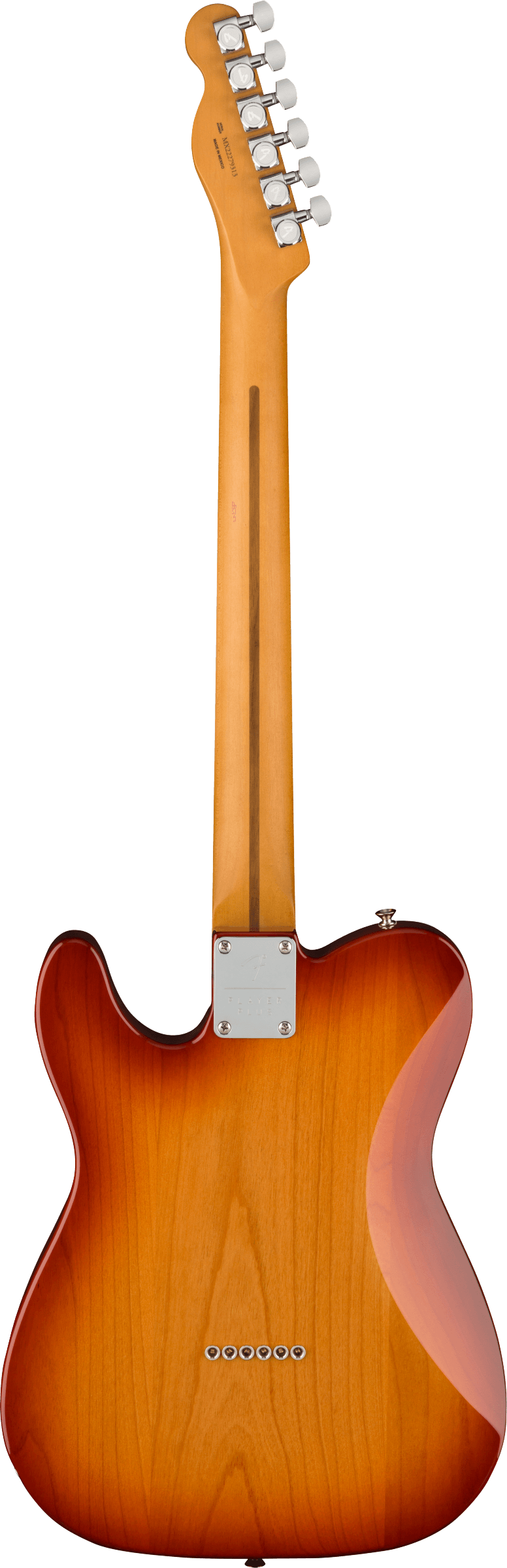 Player Plus Nashville Telecaster®, Pau Ferro Fingerboard, Sienna Sunburst