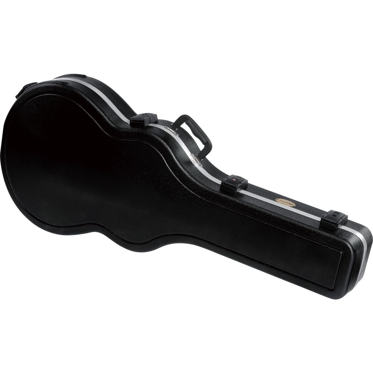 MM100C Hollow Body Case für AM Modelle