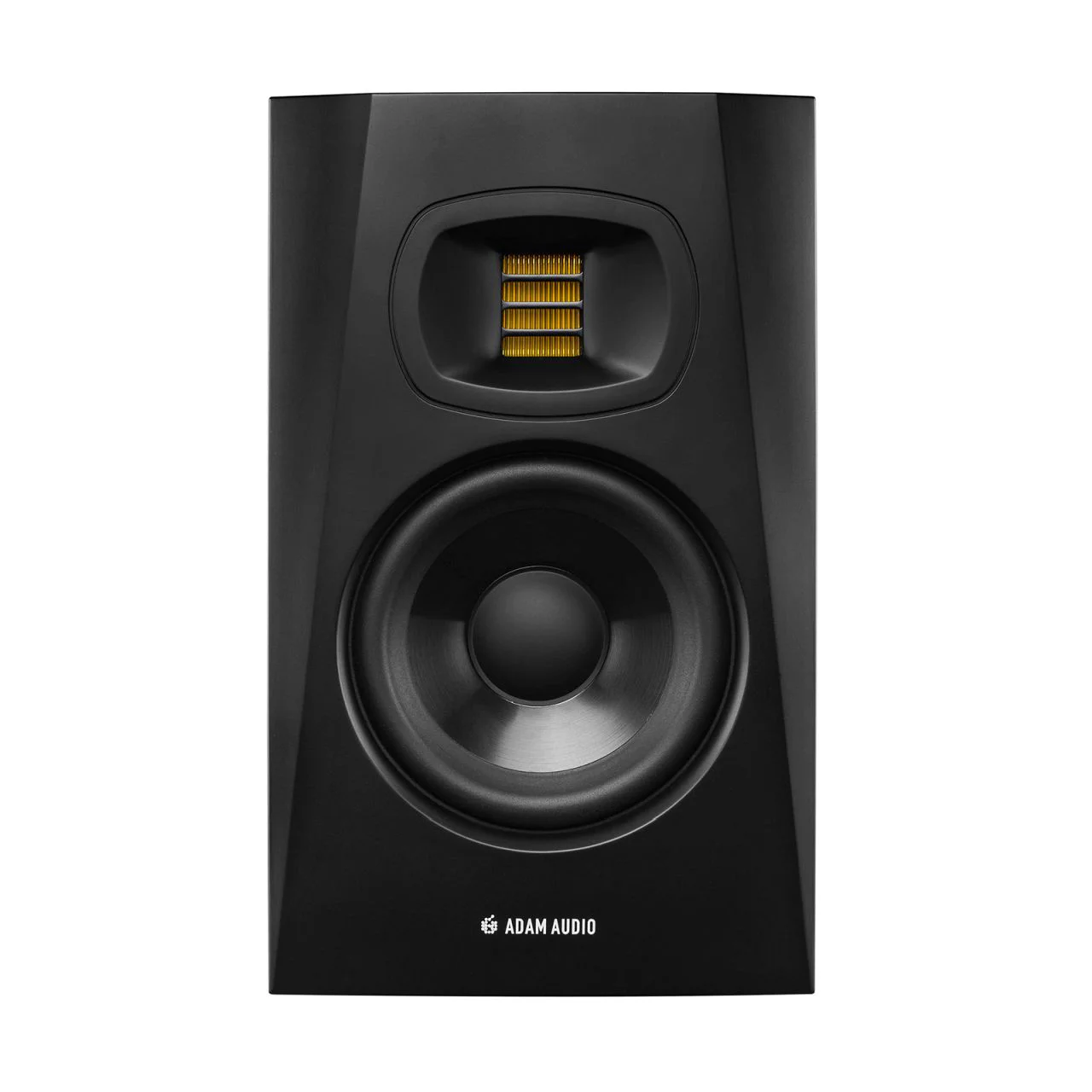 T5V Studiomonitor