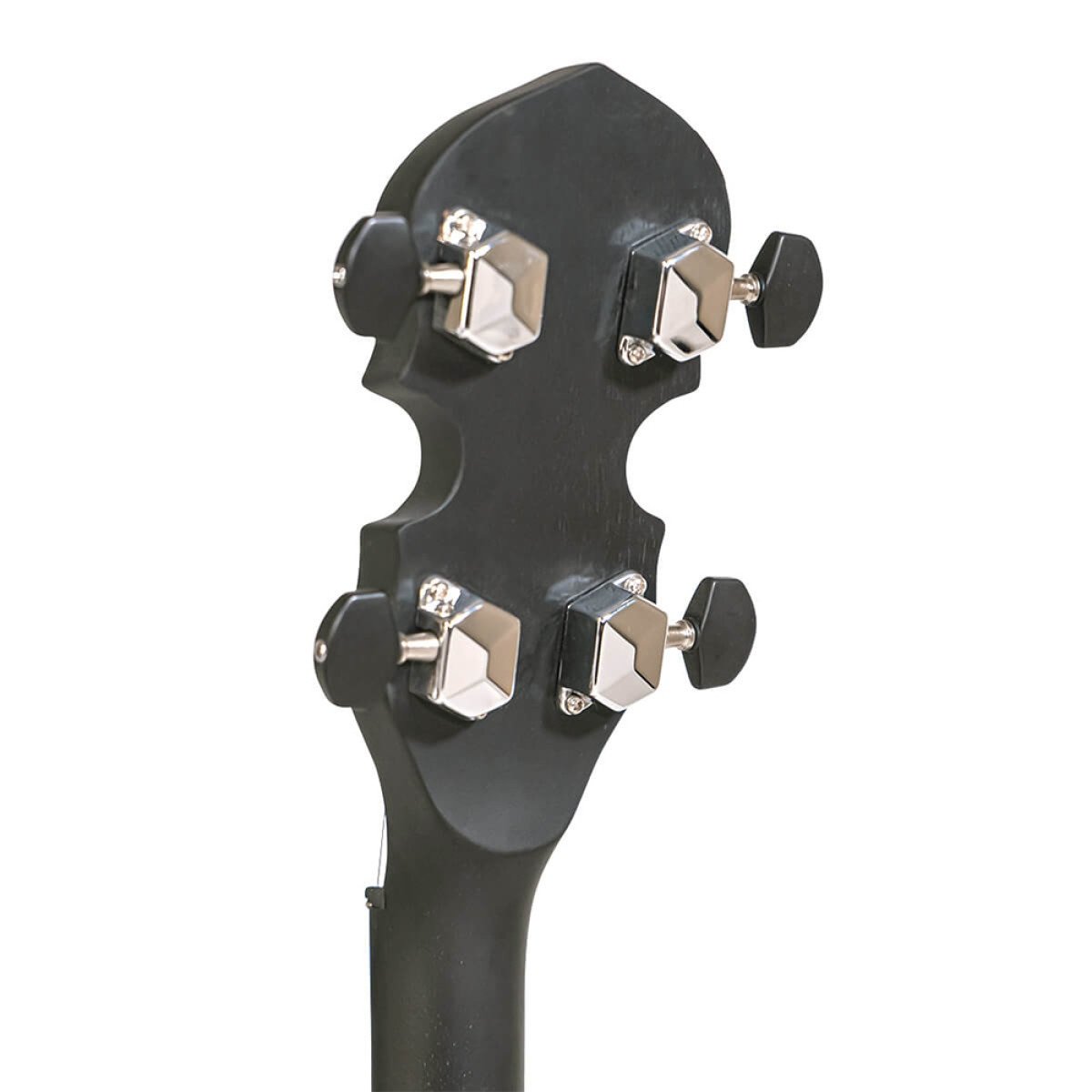 AC-4 Tenor Banjo