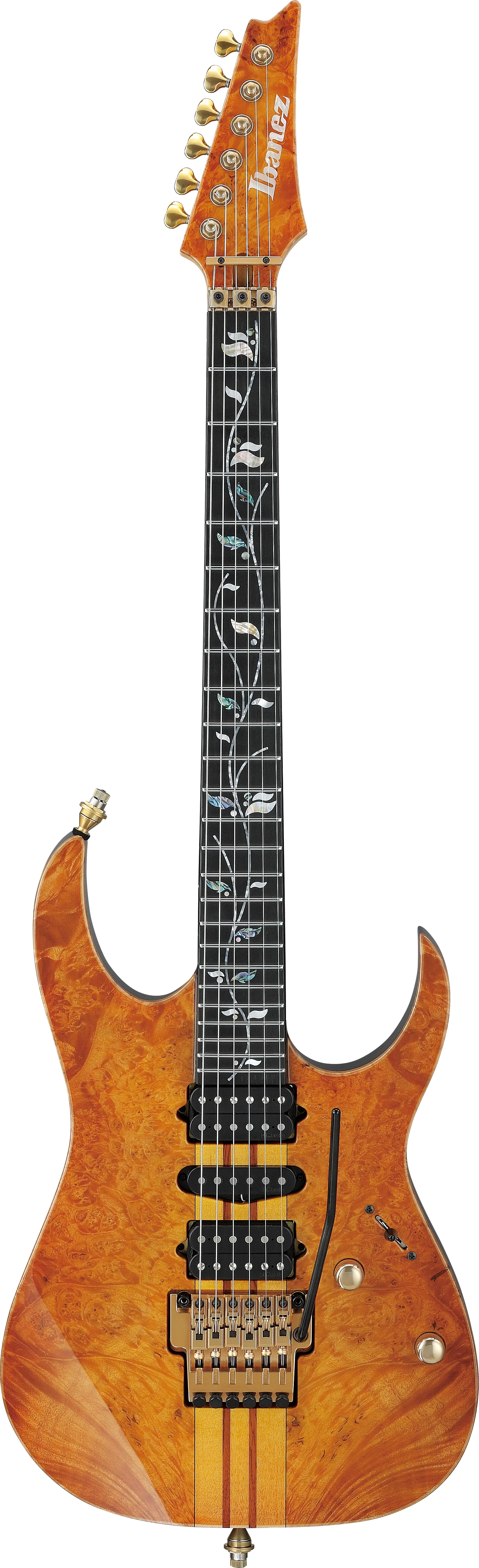 IV1RG Visions RG