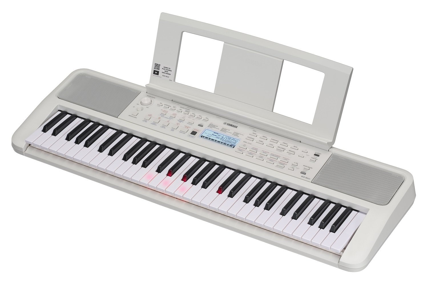 EZ-310 Leuchttasten-Keyboard