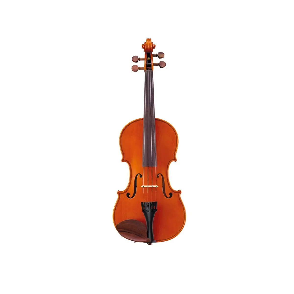 V5SC Violine 4/4