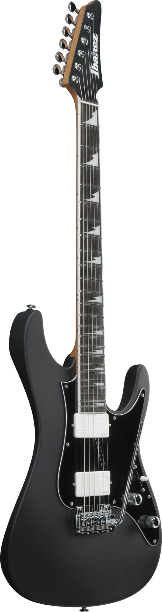 BER10 Bernth Signature E-Gitarre