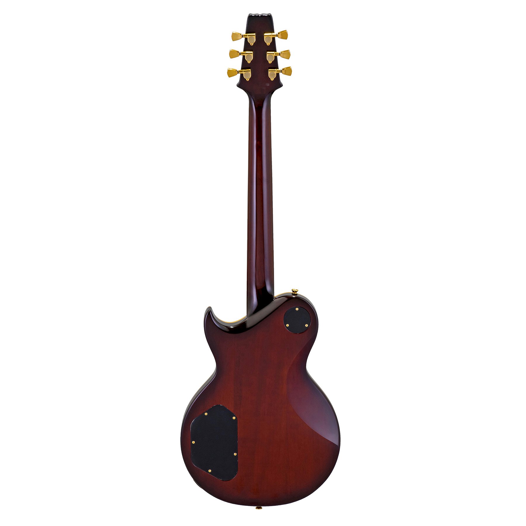 PE F80 Black Top E-Gitarre