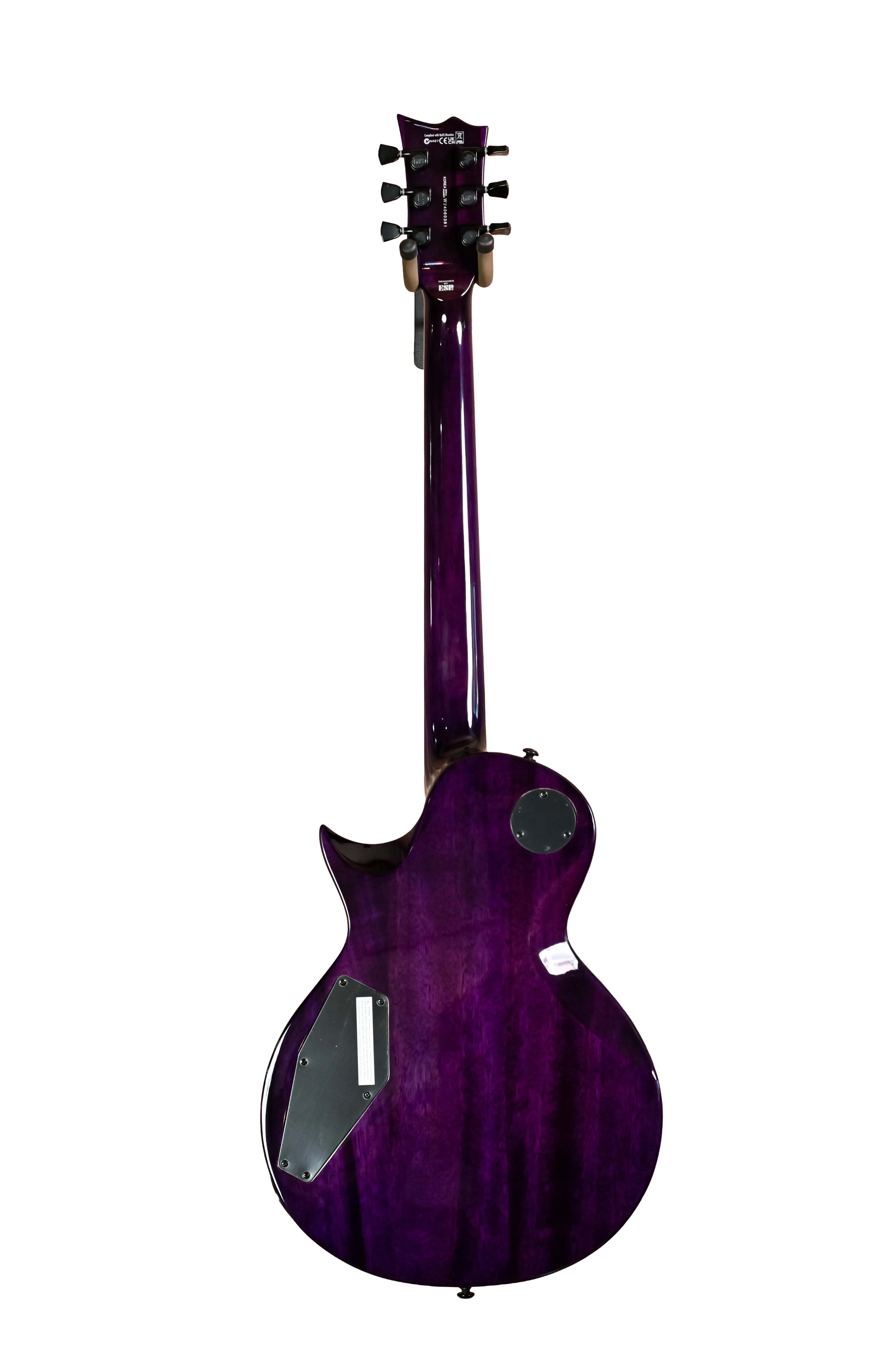 EC-1000 FMSTP Flamed Maple See Thru Purple E-Gitarre