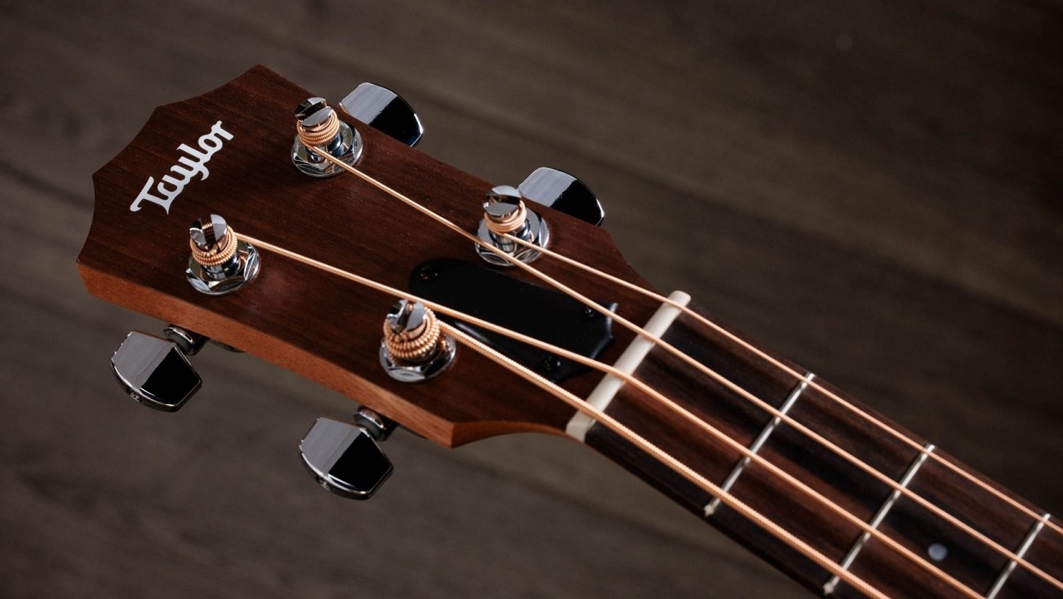 GS Mini-e Bass