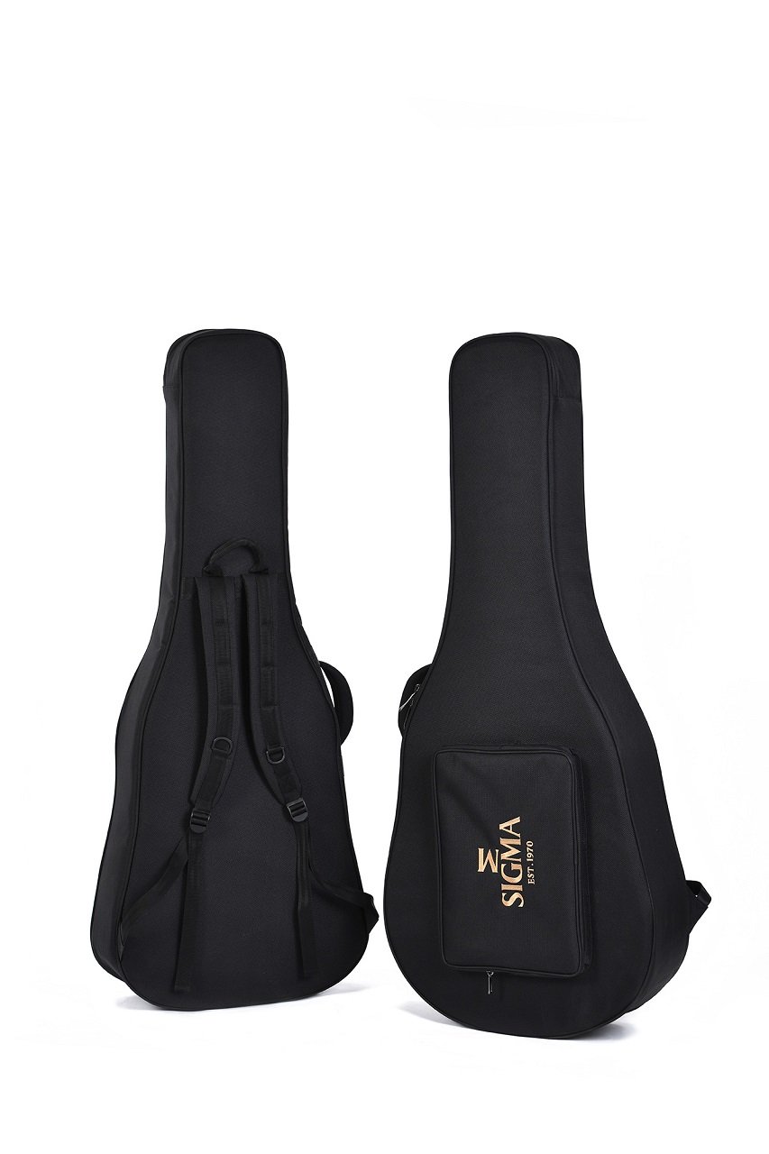 SGR-41 Custom Gitarre