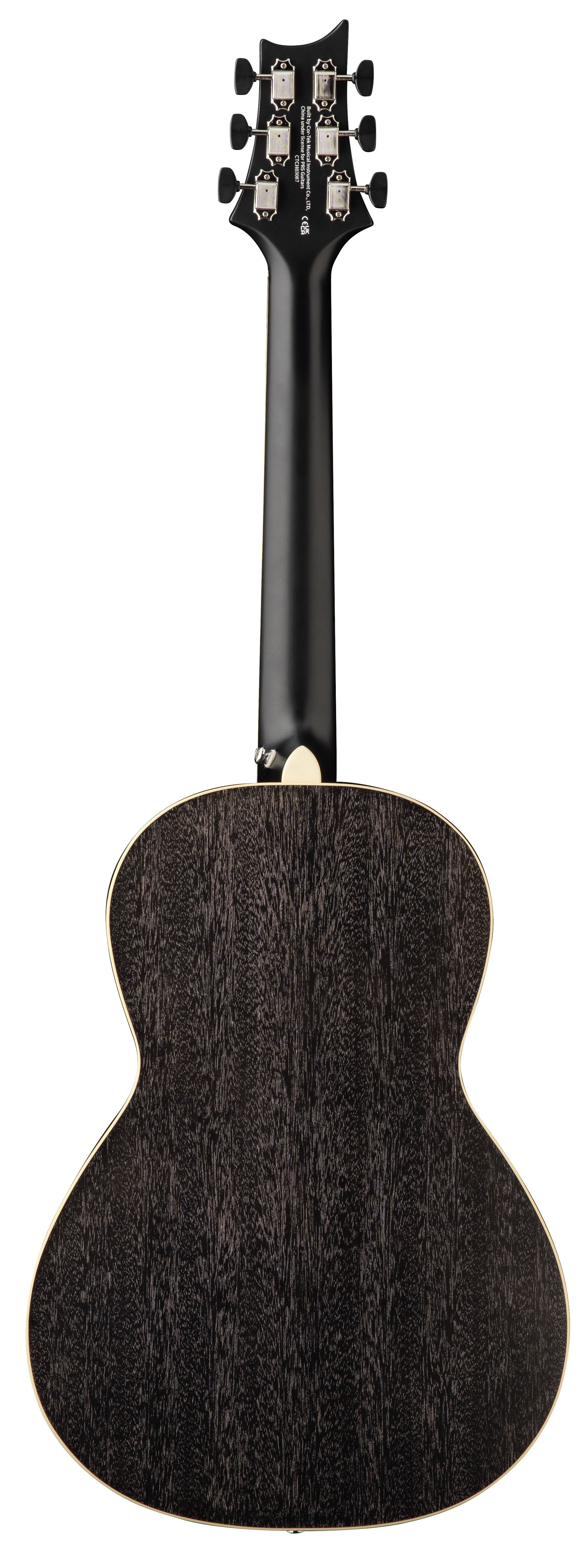 SE P20E Parlor Acoustic Black Dog Hair