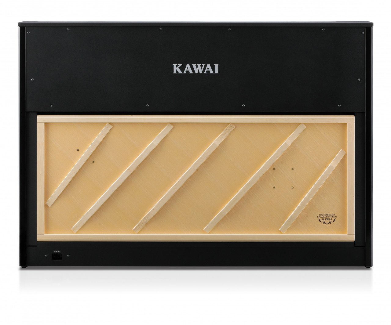 CA-901 EP Digitalpiano Schwarz Poliert