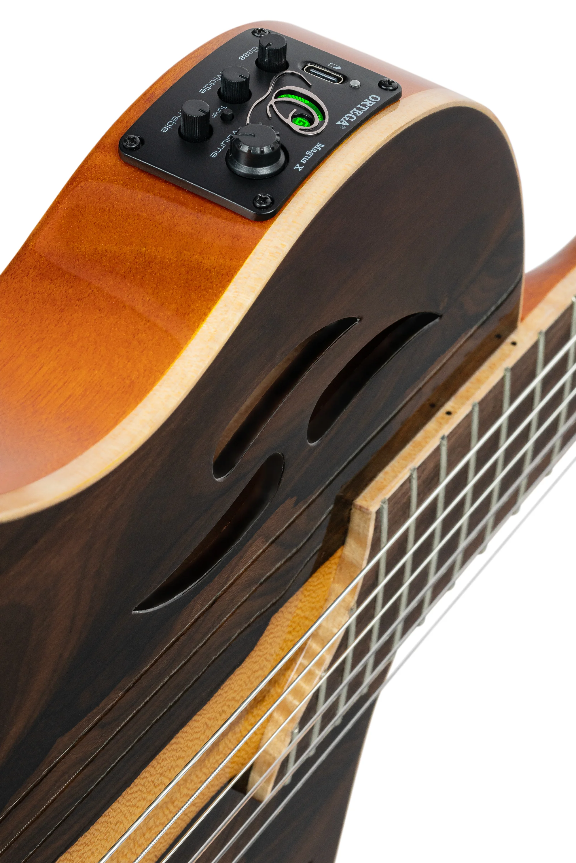 RTP-LTD TourPlayer - Limited Edition Nylon Guitar