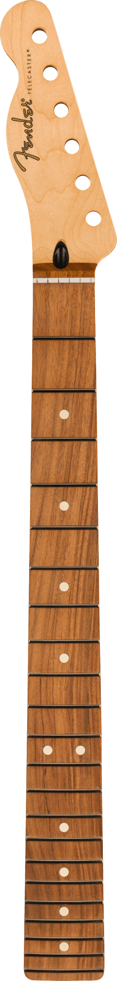 Player Series Tele Reverse Headstock Neck Modern "C"