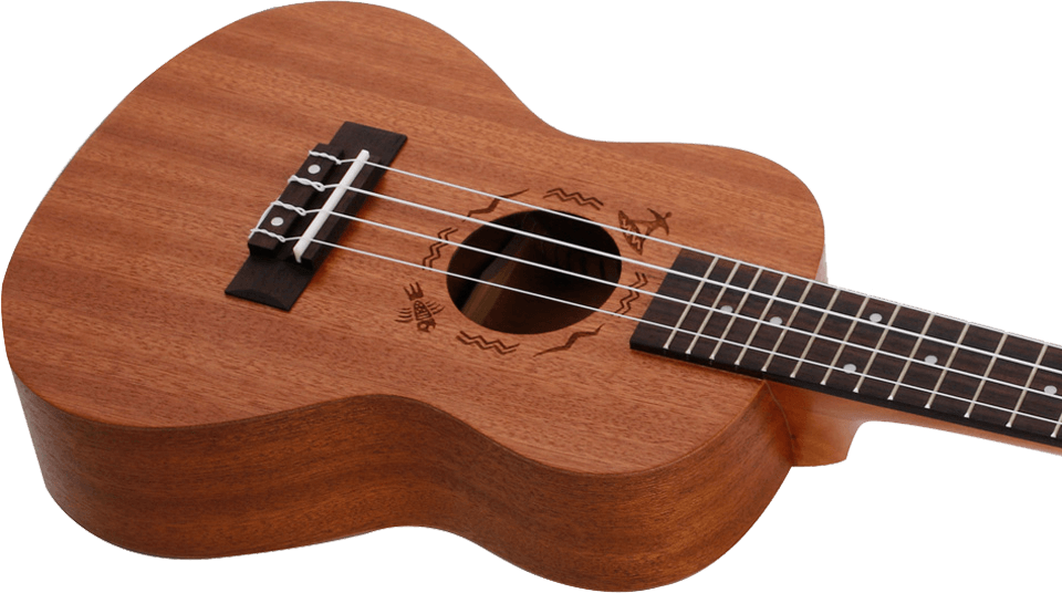 NUC310 Concert Ukulele Set