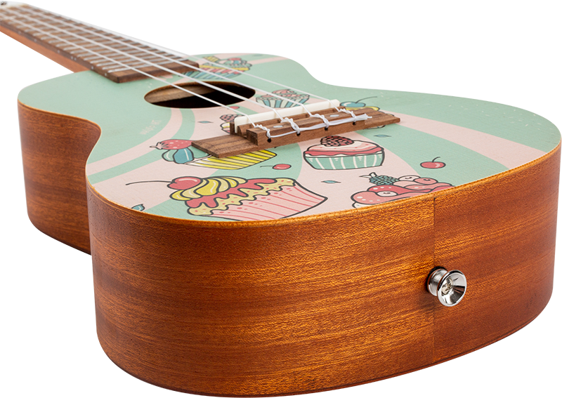 AUC-33 Cupcake Concert