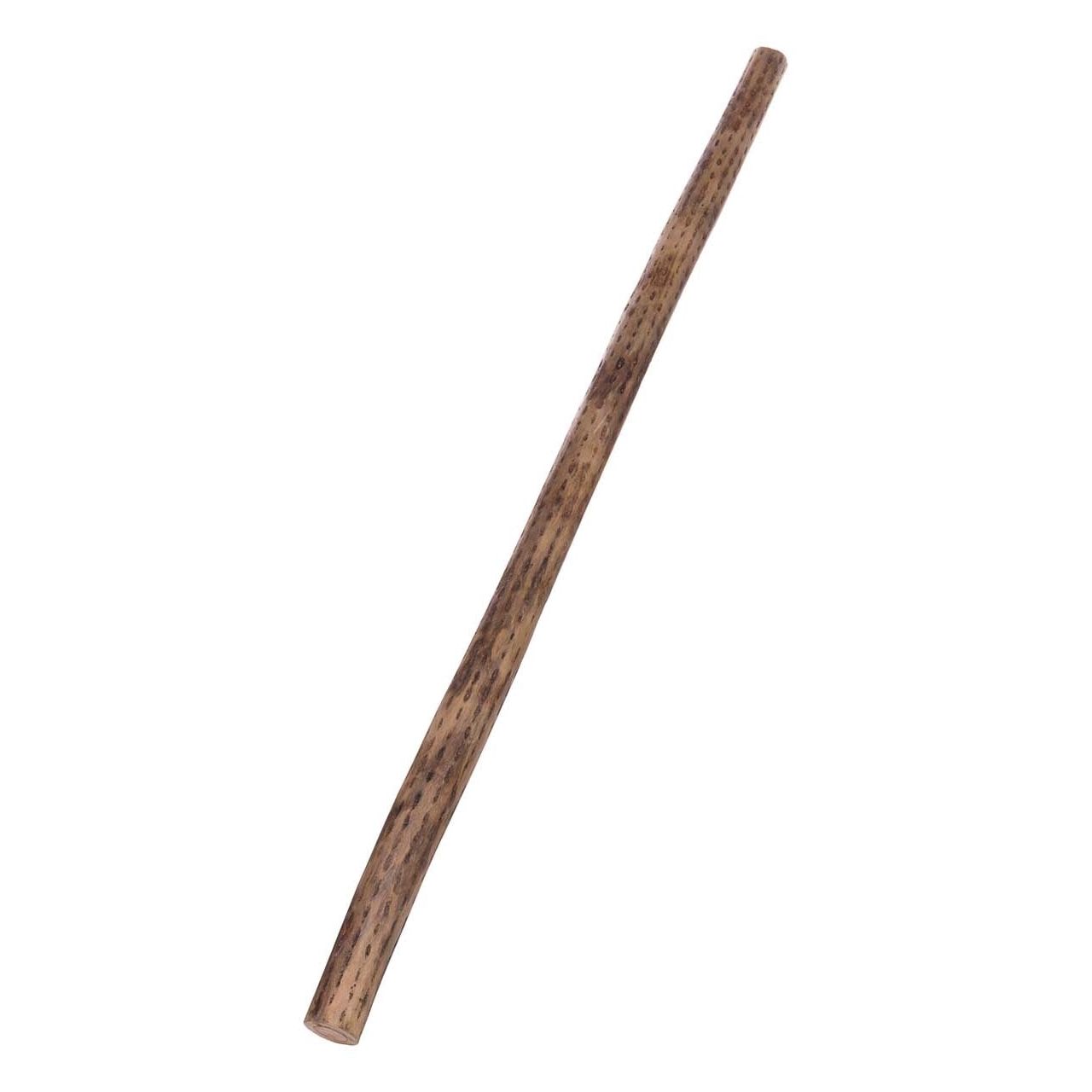 Rainmaker Kaktus 100cm, Ø 4-5