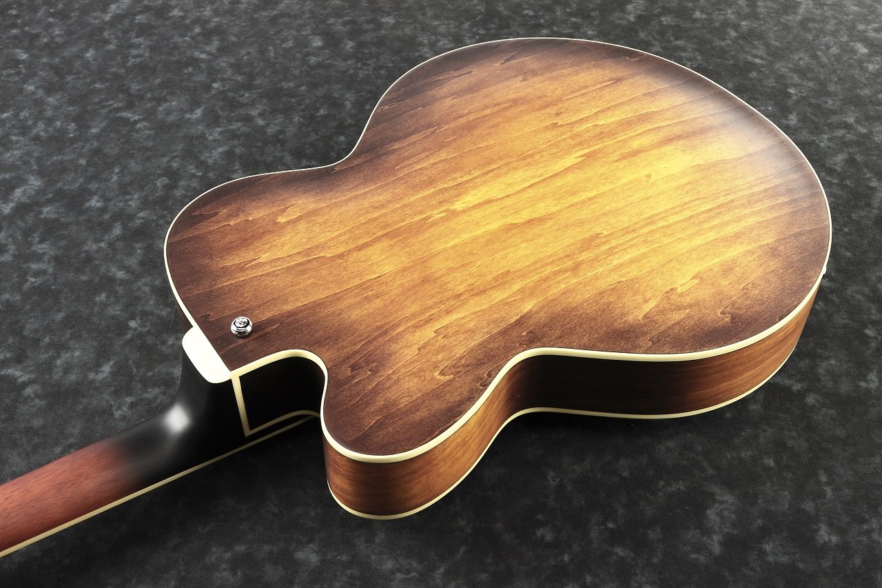AF55- TF E-Gitarre