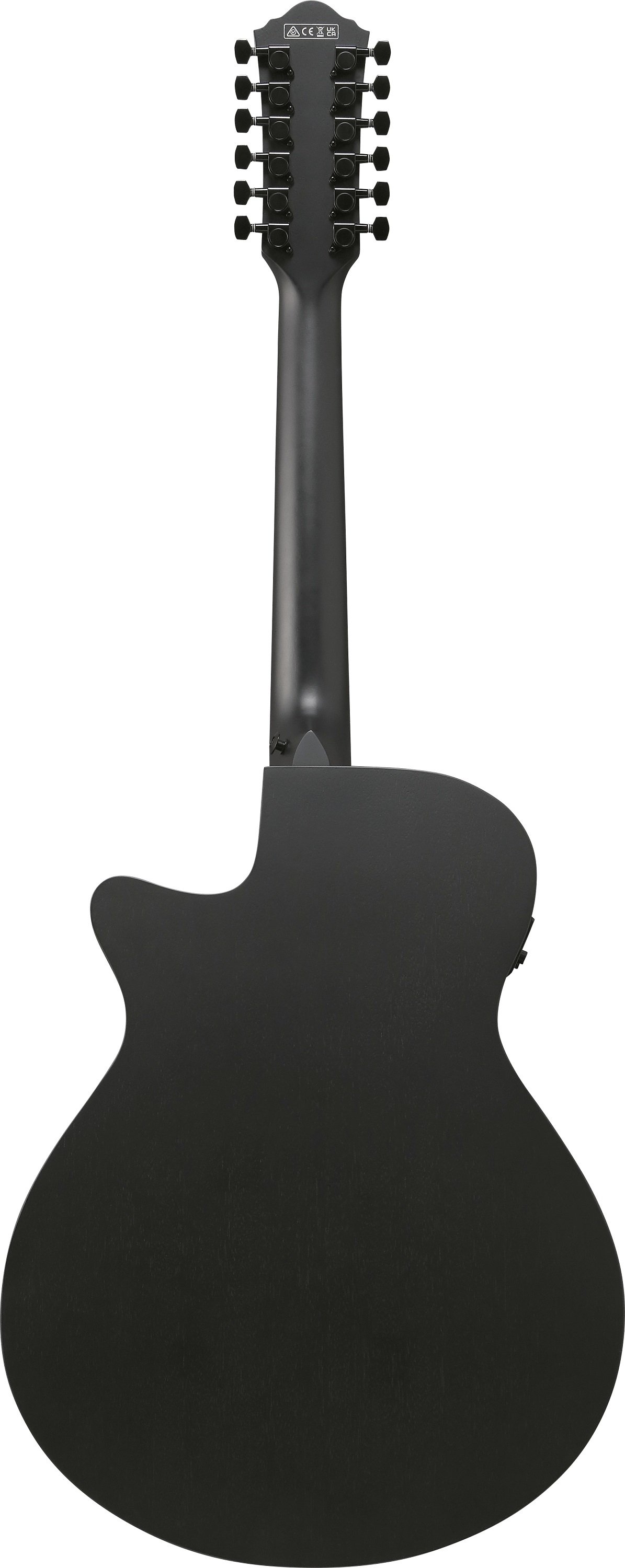 AEG1221-BOT 12-Saiter Westerngitarre