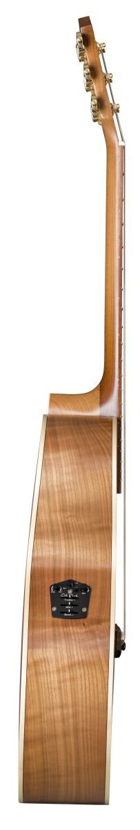 TLC/FJEC Cherry rEco Series