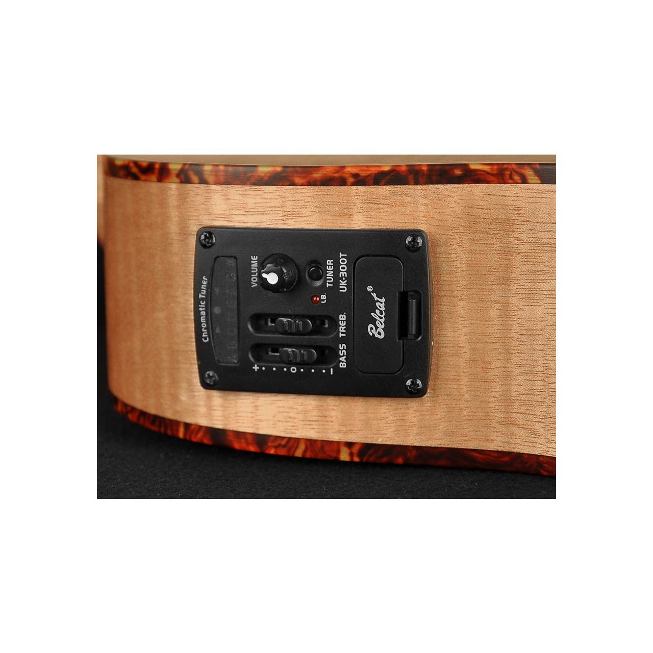 UKBB-310-E Ukulelenbass