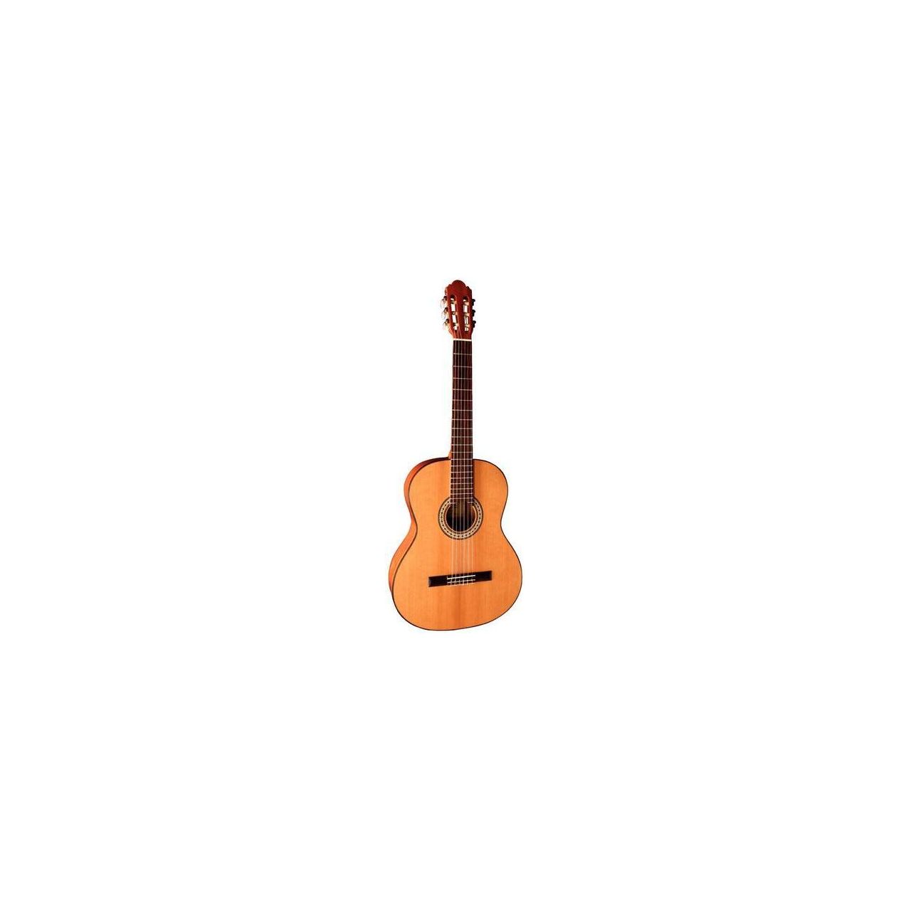 Modell 10 C Akustikgitarre hochglanz - massive Zeder