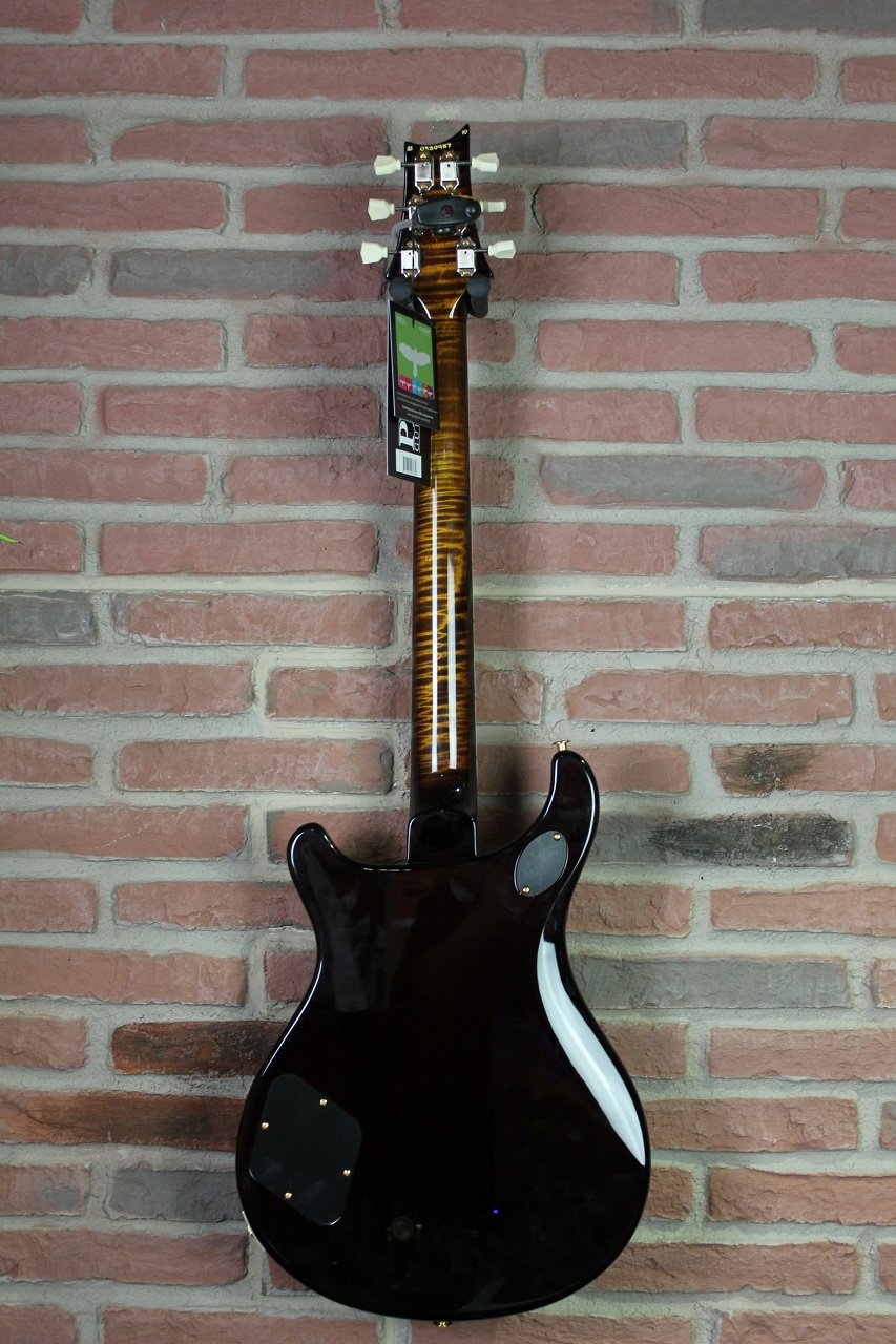 McCarty 594 in Black Gold Burst