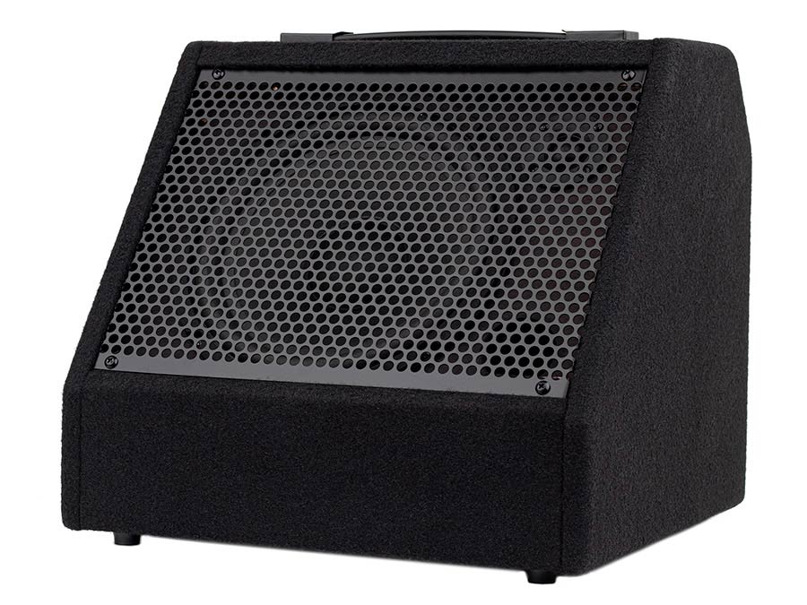 DDM-30 E-Drum Monitor