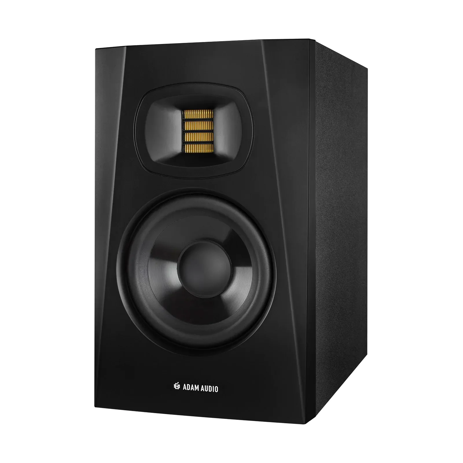 T5V Studiomonitor