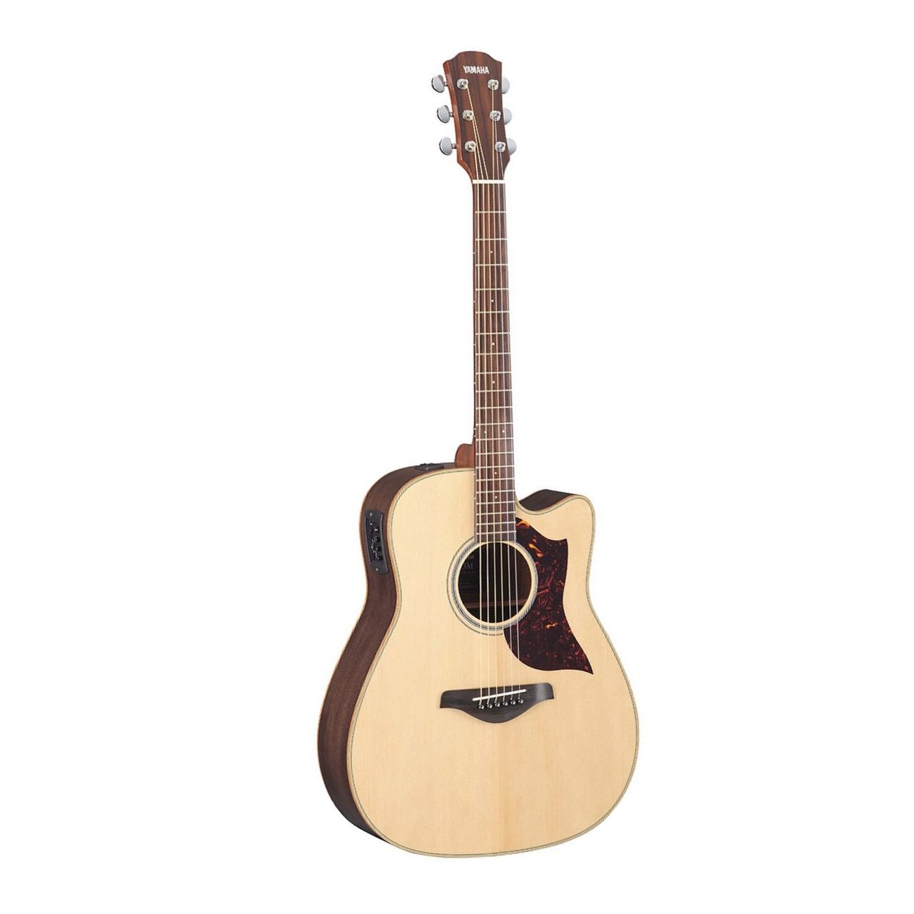 A1R E-Akustikgitarre mit Case