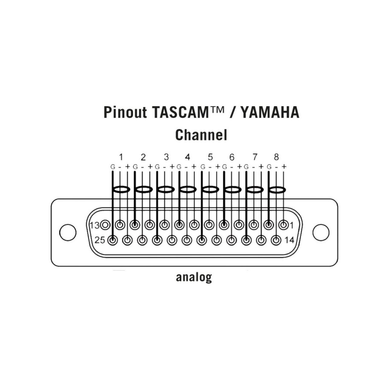 Multicore Sub-D auf 8x XLR male / Tascam Belegung 1m