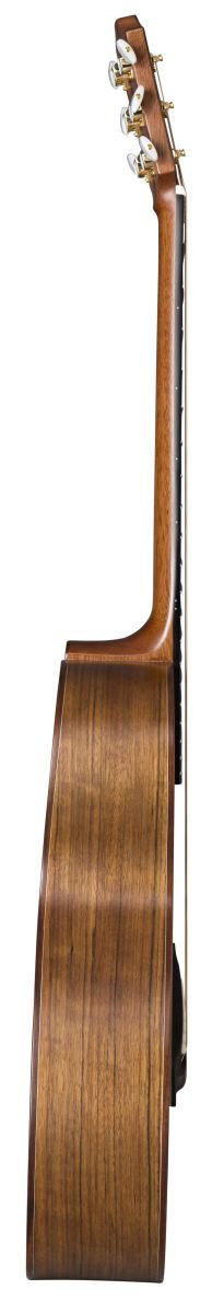 AR31S/JC-AM - Alex Misko Signature Modell