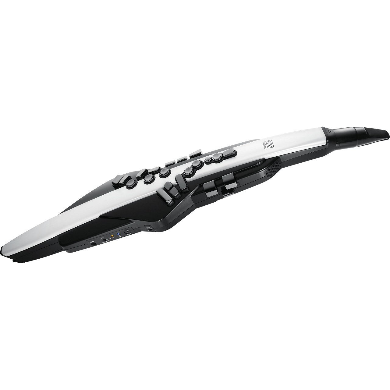 ROLAND AE-20 Aerophone  Unteransicht