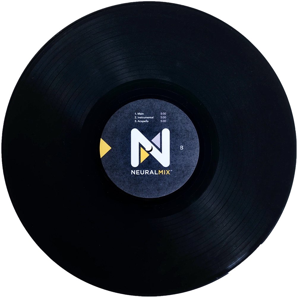 PRO AI 12" Control Vinyl Pressung, schwarz
