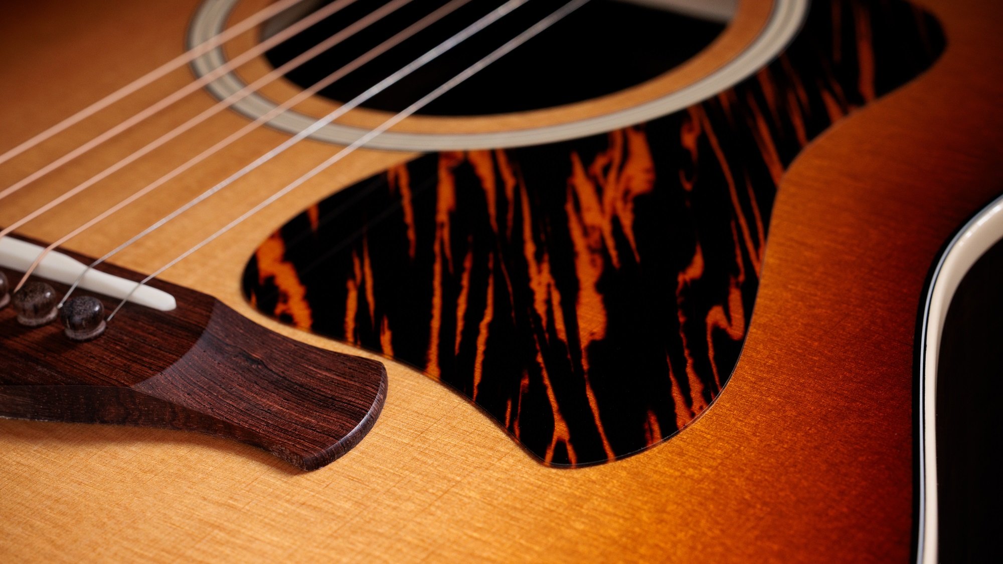 Gold Label 717e SB Firestripe Pickguard Westerngitarre