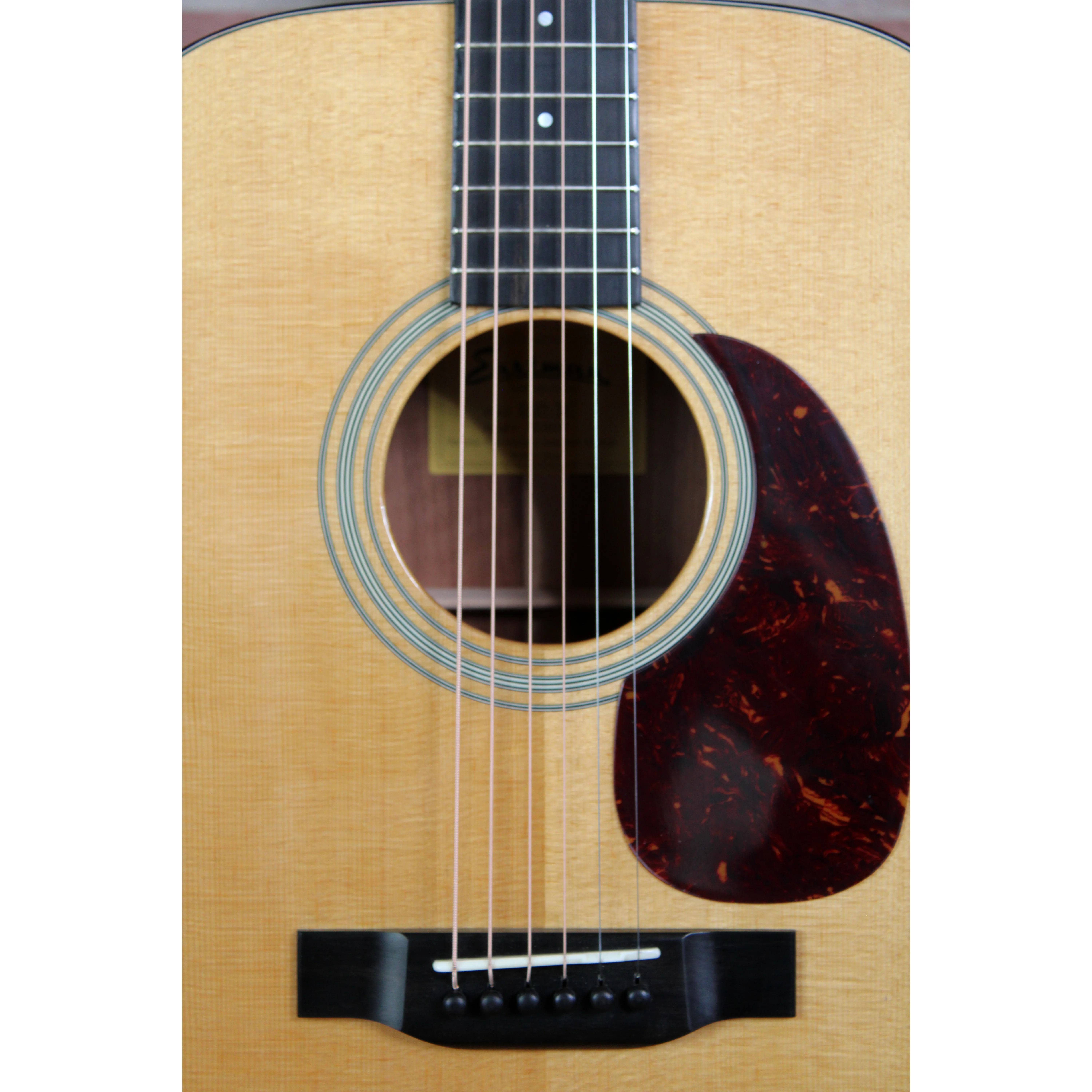 E6D  Thermo-Cure Dreadnought-Gitarre