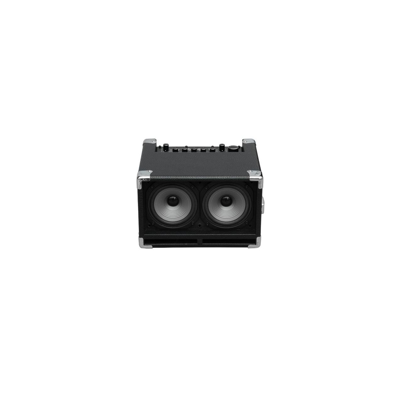 BG-100 - Bass Cub Bass Combo 100 Watts - Black 