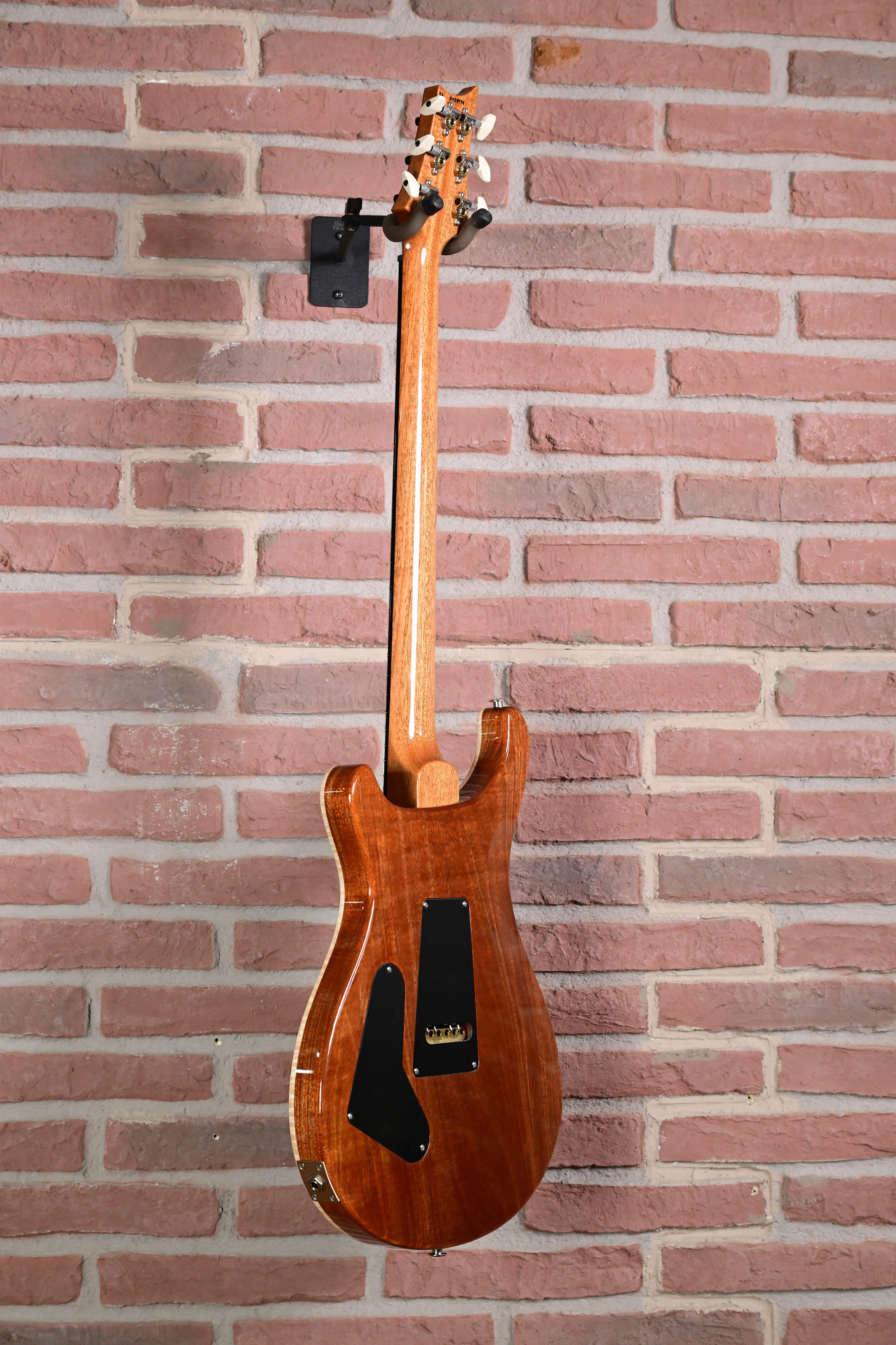 Custom 24 Birds of a Feather Limited Charcoal Microburst E-Gitarre