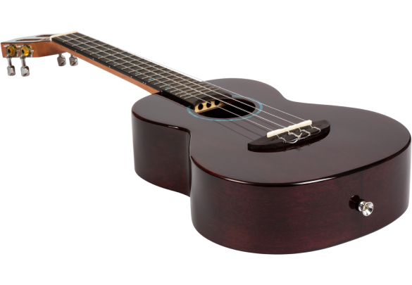Iris Tinta Tenor TPP Ukulele
