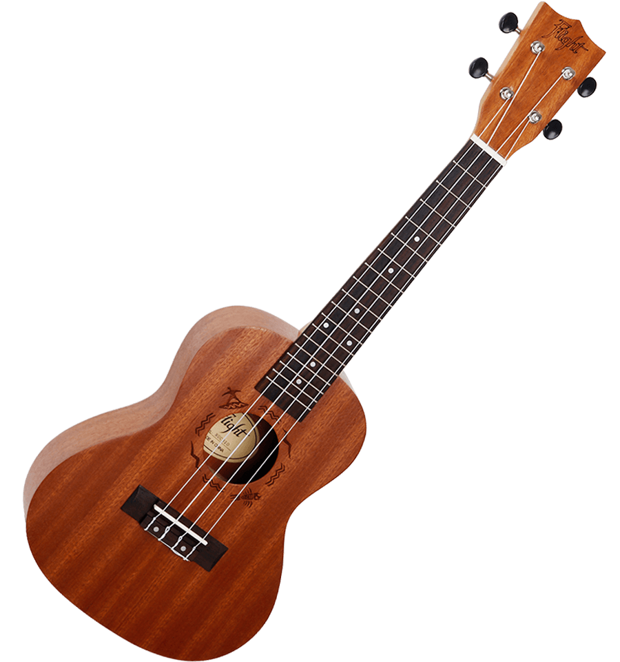NUC310 Concert Ukulele Set