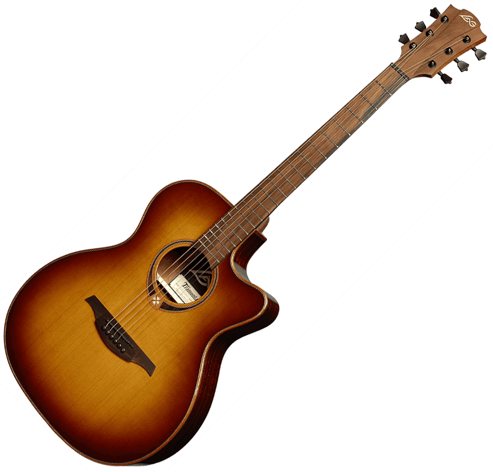 T118ACE Auditorium Cutaway mit Preamp Brown Shadow