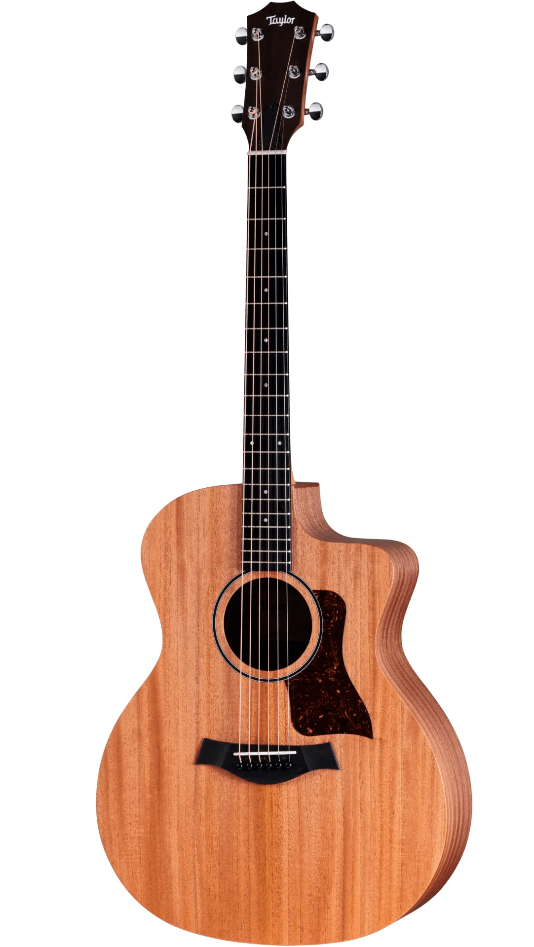 Taylor 24ce Westerngitarre Vorderansicht