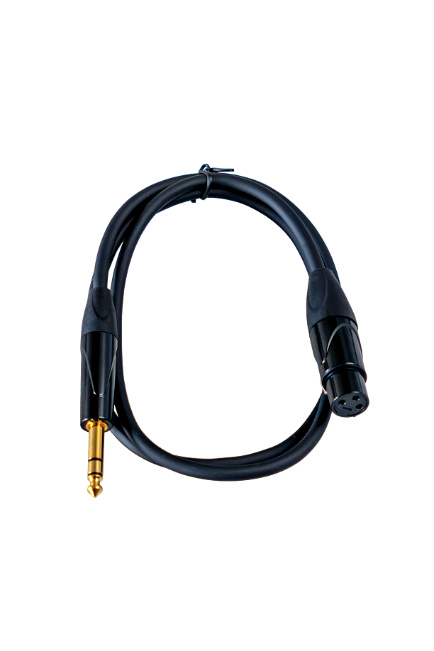 Audiokabel, XLR-auf-Klinke, schwarzes Kabel, vergoldeter Stecker, 3-poliger XLR
