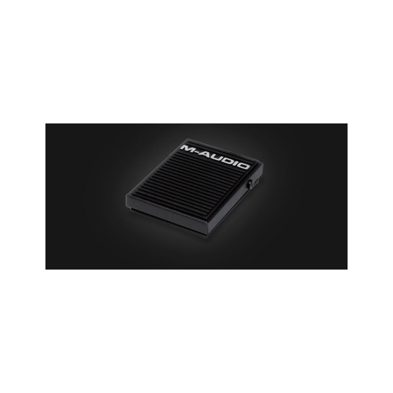 M-Audio SP-1 Sustainpedal